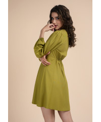 ELSON BUTTON DOWN GREEN DRESS