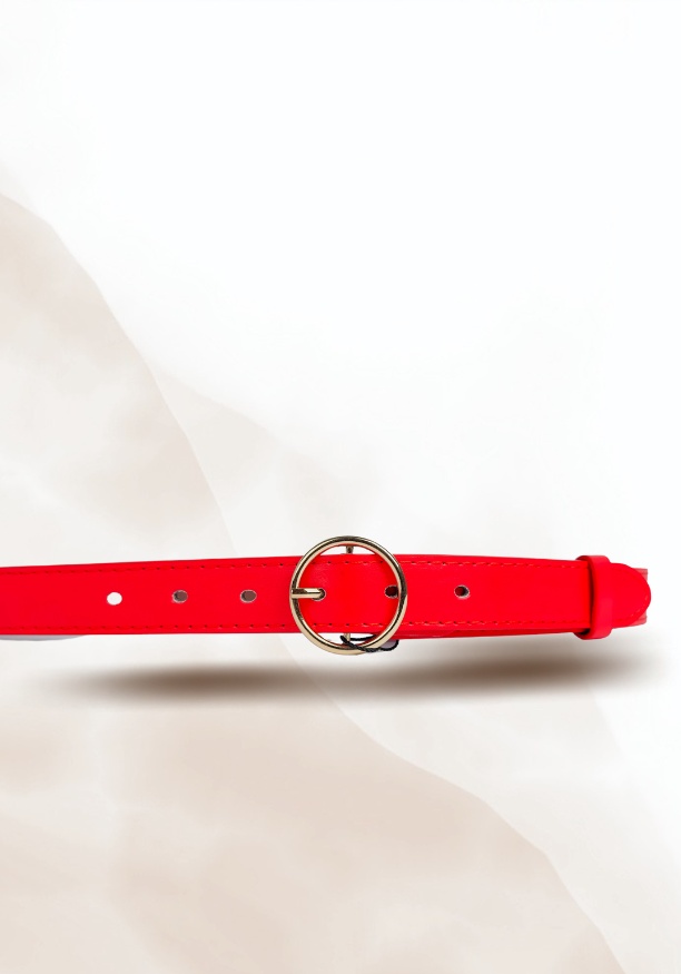 LARGE GOLD BUCKLE RED BELT